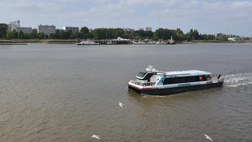 Antwerps Havenbedrijf torpedeert halte waterbus zonder haalbaarheidsstudie