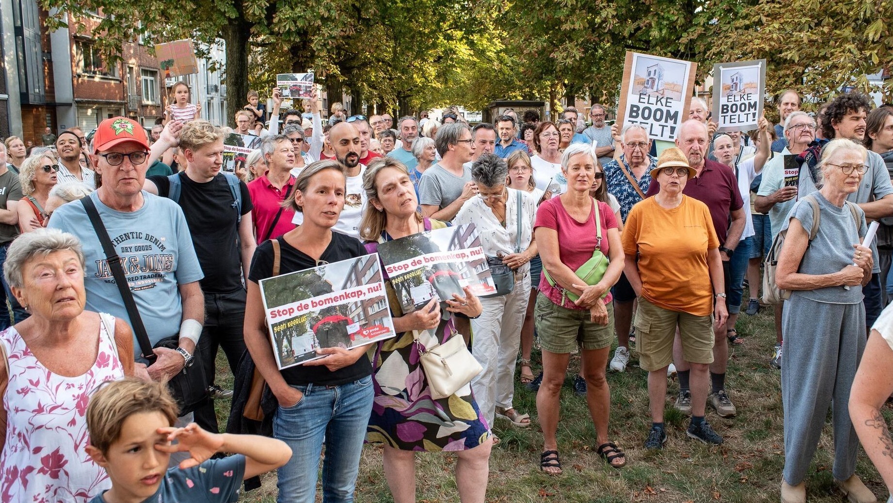 Bomenkap Deurne: PVDA roept Vooruit op om N-VA-schepen Koen Kennis te stoppen