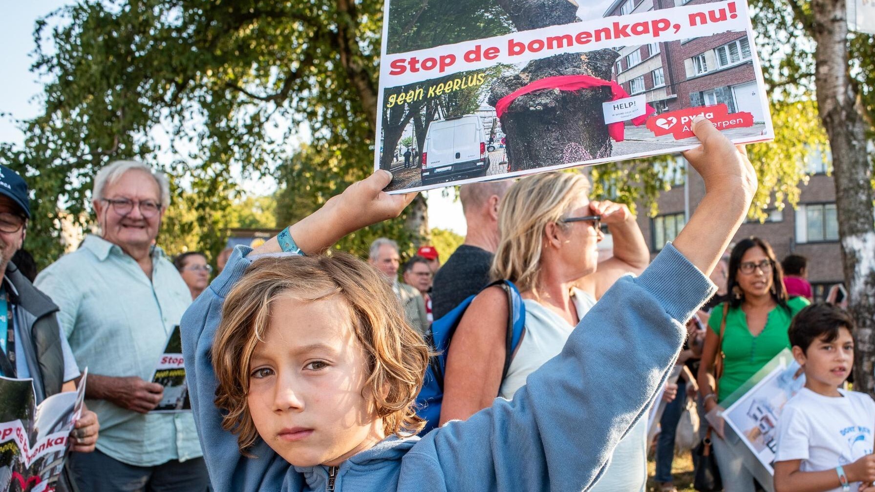 Geen keerlus. Geen bomenkap. Trek de tram door